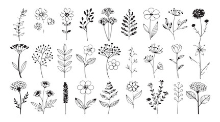 Collection of hand drawn botanical elements and flowers in a simple line art silhouette style