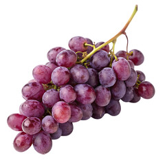 Fototapeta premium A single cluster of ripe and juicy purple grapes on the vine isolated on a transparent background png