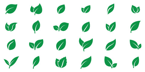 Green leaf vector icons. Green eco leaves icons. Simple linear leaves of trees and plants. Green leaves collection. Ecology leaf element.
