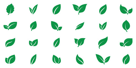 Green leaf vector icons. Green eco leaves icons. Simple linear leaves of trees and plants. Green leaves collection. Ecology leaf element.
