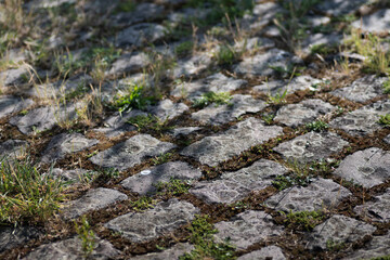 Cobblestone pavement with grass and green grass close-up