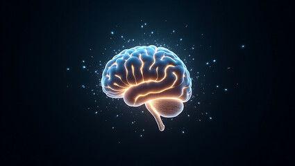 Glowing Human Brain A Highly Detailed Photorealistic Depiction
