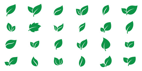Green leaves icons set isolated on white background vector illustration. Vegan, tree, plant, fresh, energy and healthy nutrition concept. EPS 10