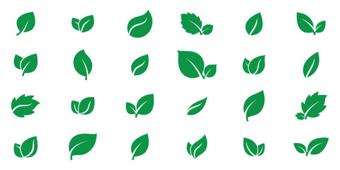 Green leaf icons set vector illustration. Collection green leaf icon