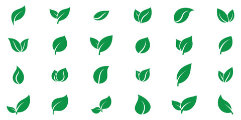 Green leaf icons set vector illustration. Collection green leaf icon