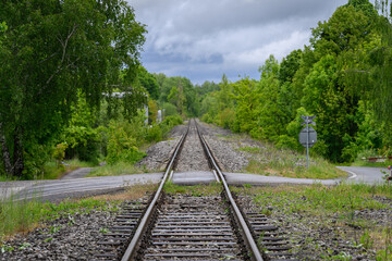 Asphalt railway crossing over train tracks with trees in the background, captured in natural...