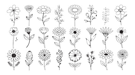 Collection of hand drawn floral elements and botanical illustrations in a simple line art style silhouette