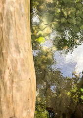 Clear water reflecting sunlight with stones and a log nearby in a serene natural setting