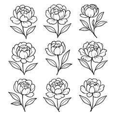 Hand-drawn outline peony flower set with delicate leaves, ideal for tattoo, coloring, and botanical design. © Chairul