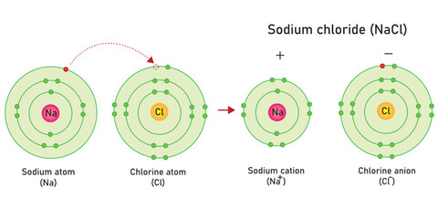 The molecule structure of ionic bonding of sodium chloride (NaCl). 
