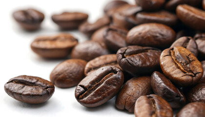 Gloss & Grind Macro Roasted Arabica Beans