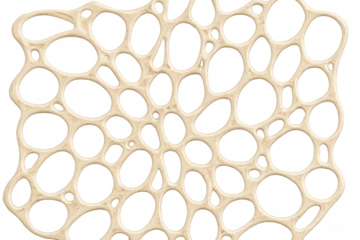 Intricate beige organic net pattern creating a porous, interconnected design on a transparent background
