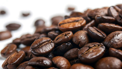 Gloss & Grind Macro Roasted Arabica Beans