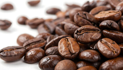 Gloss & Grind Macro Roasted Arabica Beans