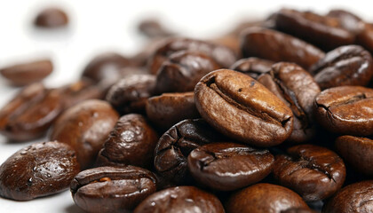 Gloss & Grind Macro Roasted Arabica Beans