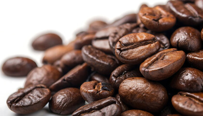 Gloss & Grind Macro Roasted Arabica Beans