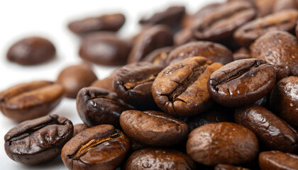 Gloss & Grind Macro Roasted Arabica Beans