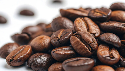 Gloss & Grind Macro Roasted Arabica Beans