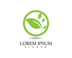 leaf green nature logo and symbol template Vector