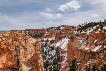 Black Birch Canyon, Bryce Canyon National Park, Utah. Claron Formation, (Tcp) Pink member;...