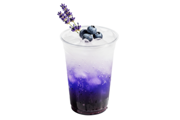 iced sparkling blueberry lavender soda with fresh garnish