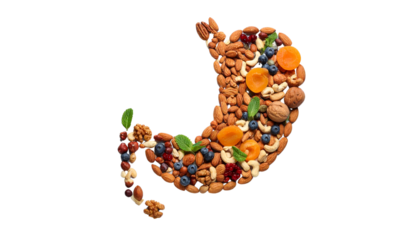 Healthy Stomach Filled with Nuts and Fruits on White Background