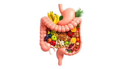Healthy Stomach Filled with Nuts and Fruits on White Background