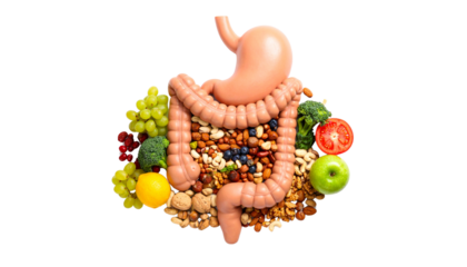 Healthy Stomach Filled with Nuts and Fruits on White Background