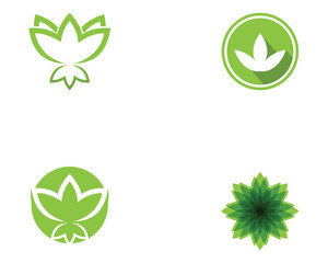 Lotus Flower Sign for Wellness, Spa and Yoga. Vector Illustration..