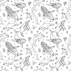 Vector seamless pattern with whales and dolphins. Marine animals in engraving technique, freehand drawing with ink. White background. Can be used for wallpaper, textile, fabric, wrapping paper. © Yuliya Jigalova