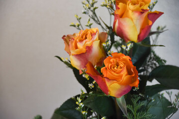 オレンジ色のばら