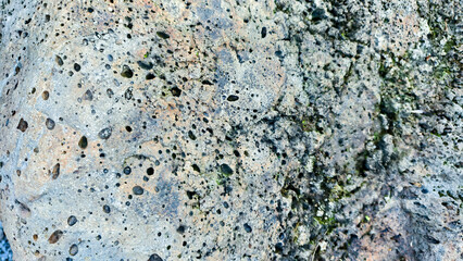 Porous volcanic rock surface, a testament to geological forces and nature's artistry