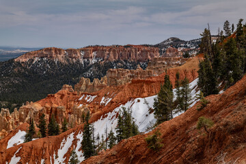 Ponderosa Canyon, Bryce Canyon National Park, Utah. Claron Formation, (Tcp) Pink member; mudstone,...