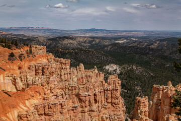Ponderosa Canyon, Bryce Canyon National Park, Utah. Claron Formation, (Tcp) Pink member; mudstone,...