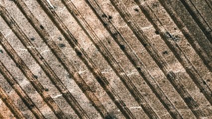 Textured sedimentary rock surface shows weathered linear patterns perfect for backgrounds
