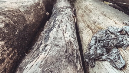 Weathered stacked logs texture showcasing patterns of decay and natural wood grain
