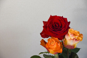 赤とオレンジのばら