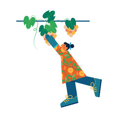 A woman reaches up to pick ripe grapes from the vine. Homegrown concept vector illustration.