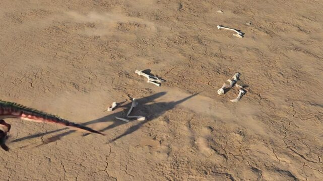Dinosaur animation: velociraptor running over fossil bones in desert landscape.