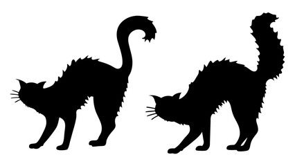 Halloween cat black vector silhouette