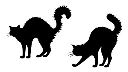 Halloween cat black vector silhouette