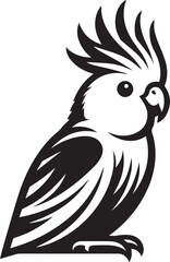 Cockatiel Parrot Vector