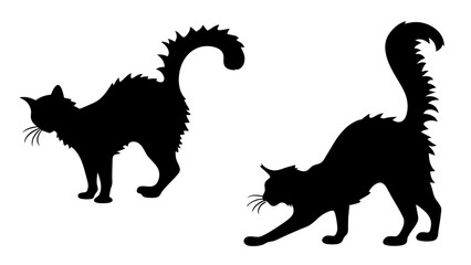 Halloween cat black vector silhouette
