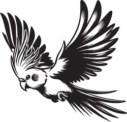 Cockatiel Parrot Vector