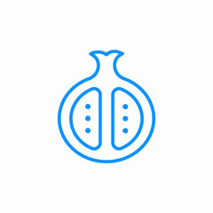 cut pomegranate icon sign vector