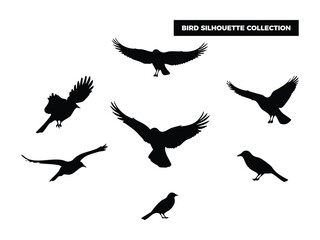 Vector Bird Silhouette Collection, Flying, Perching, and Soaring Birds for Graphic Design