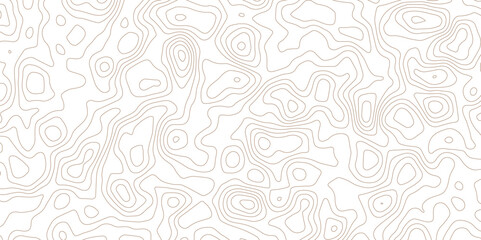 Modern Abstract White Background with Wavy Topographic Line Texture.