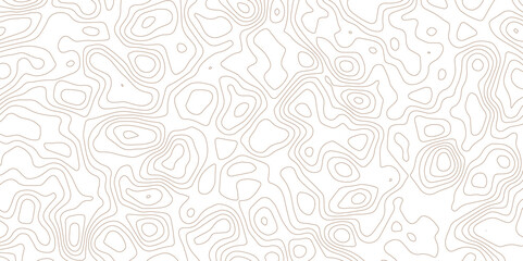 Soft White Topography Map Design with Abstract Elevation Line Contours.