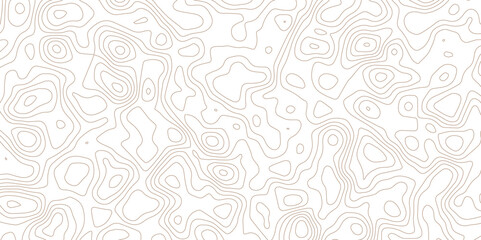 Minimal White Topographic Line Art Background with Subtle Abstract Contours.