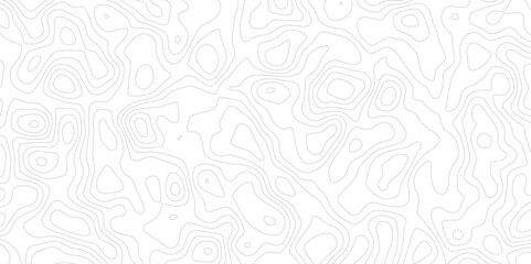 Topographic Gray Line Background with Light Contour Map-Inspired Texture.